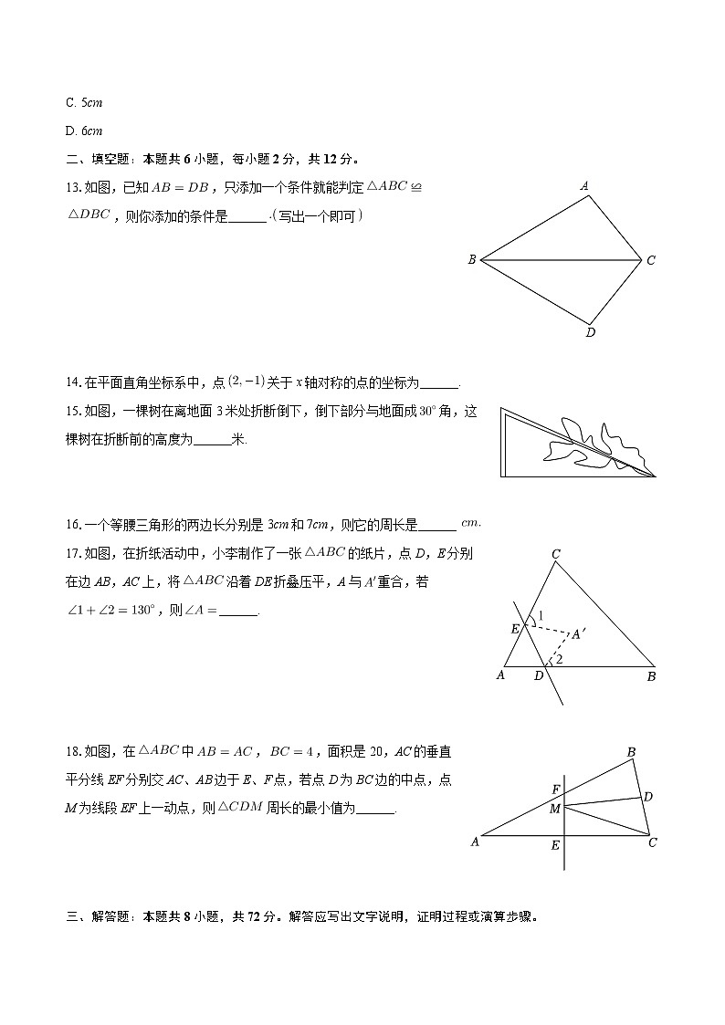 广西南宁市青秀区2024-2025学年八年级上学期月考数学试卷(10月份)第3页