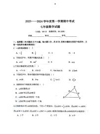 河北省秦皇岛市海港区2023-2024学年七年级上学期期中考试数学试卷