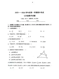 河北省秦皇岛市海港区2023-2024学年七年级上学期期中考试数学试卷