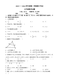河北省秦皇岛市海港区2023-2024学年七年级上学期期中考试数学试卷(无答案)
