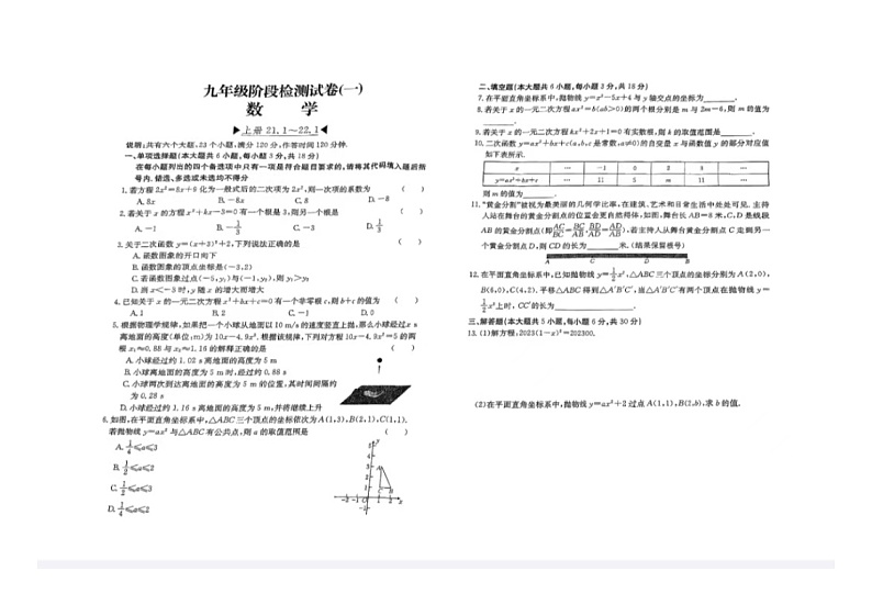 江西省赣州市大余县2024-2025学年九年级上学期10月联考数学试题01