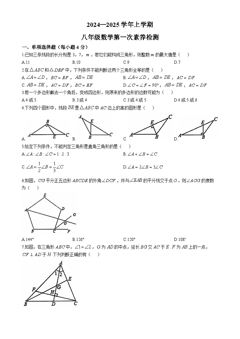 山东省德州市宁津县第四实验中学2024-2025学年八年级上学期10月月考数学试题(无答案)01