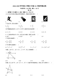 广西壮族自治区南宁市第三中学2024-2025学年八年级上学期10月月考数学试题(无答案)