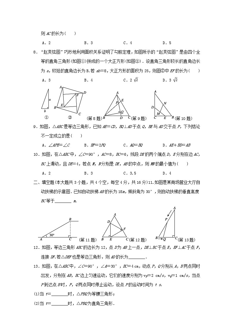 河北省2024八年级数学上册第十七章特殊三角形学情评估卷试卷(附答案冀教版)02
