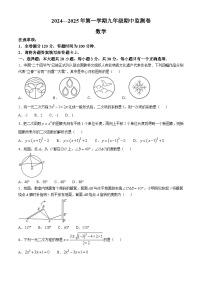 甘肃省定西市岷县2024—2025学年九年级上学期期中考试数学试卷(无答案)
