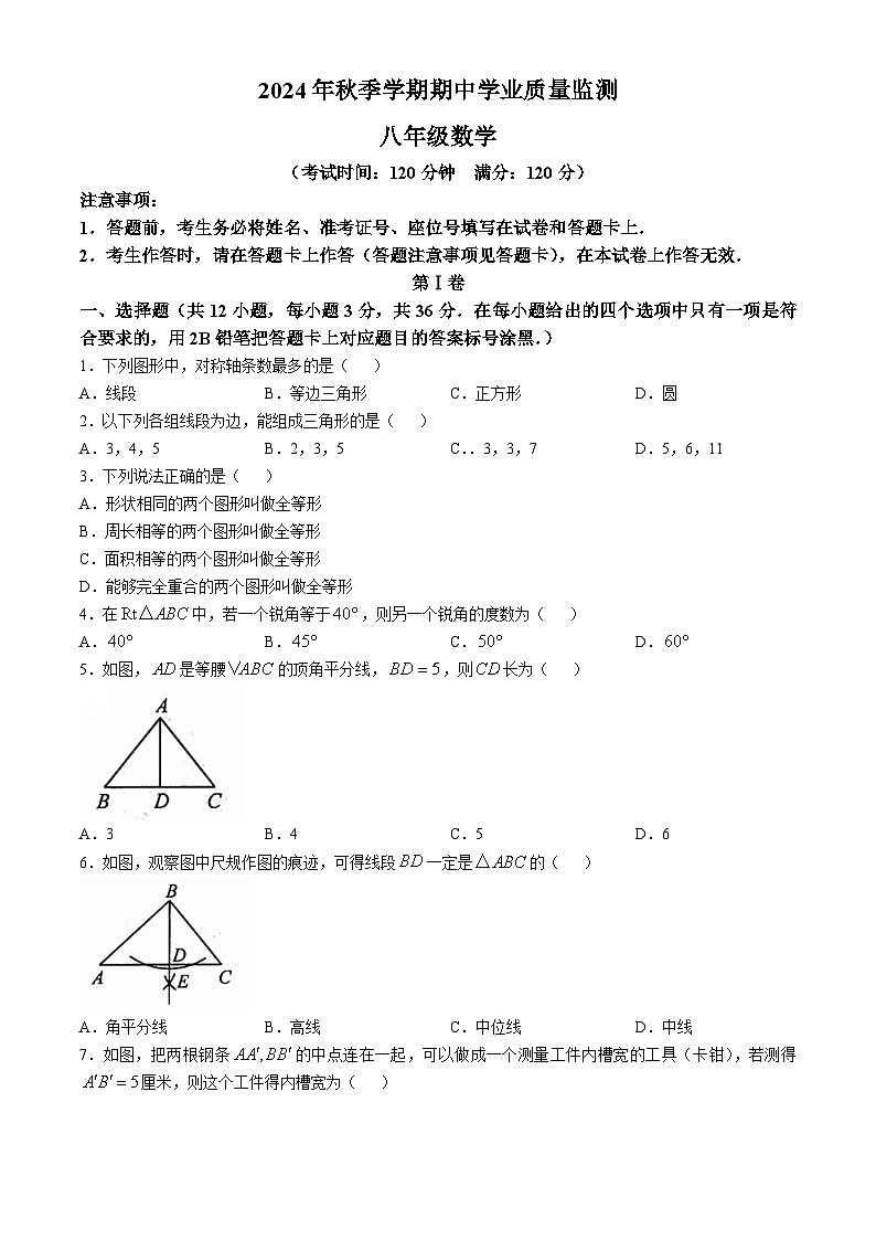 广西壮族自治区钦州市浦北县2024-2025学年八年级上学期10月期中考试数学试题(无答案)第1页