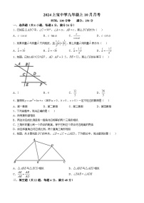 上海市上宝中学2024-—2025学年九年级上学期10月月考数学试题(无答案)
