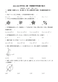 北京市十一学校2024-2025学年九年级上学期期中考试数学试卷(无答案)