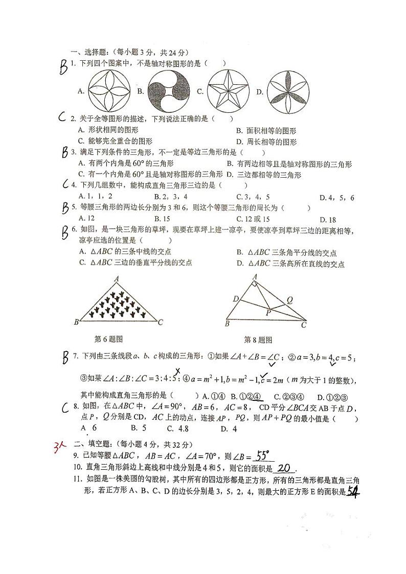 江苏省徐州市沛县第五中学2024-2025学年八年级上学期10月期中考试数学试题01