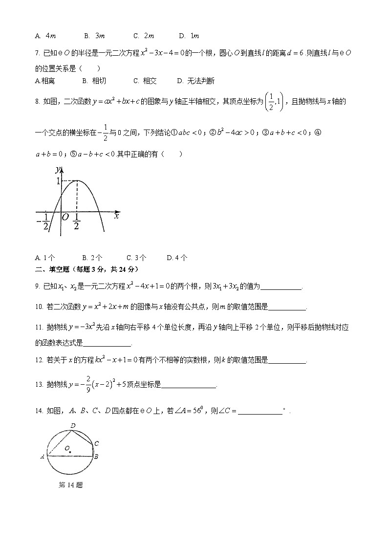 江苏省徐州市沛县第五中学2024-2025学年九年级上学期11月期中考试数学试题第2页