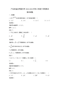 广东省湛江市雷州市2023-2024学年八年级下学期期末数学试卷（解析版）