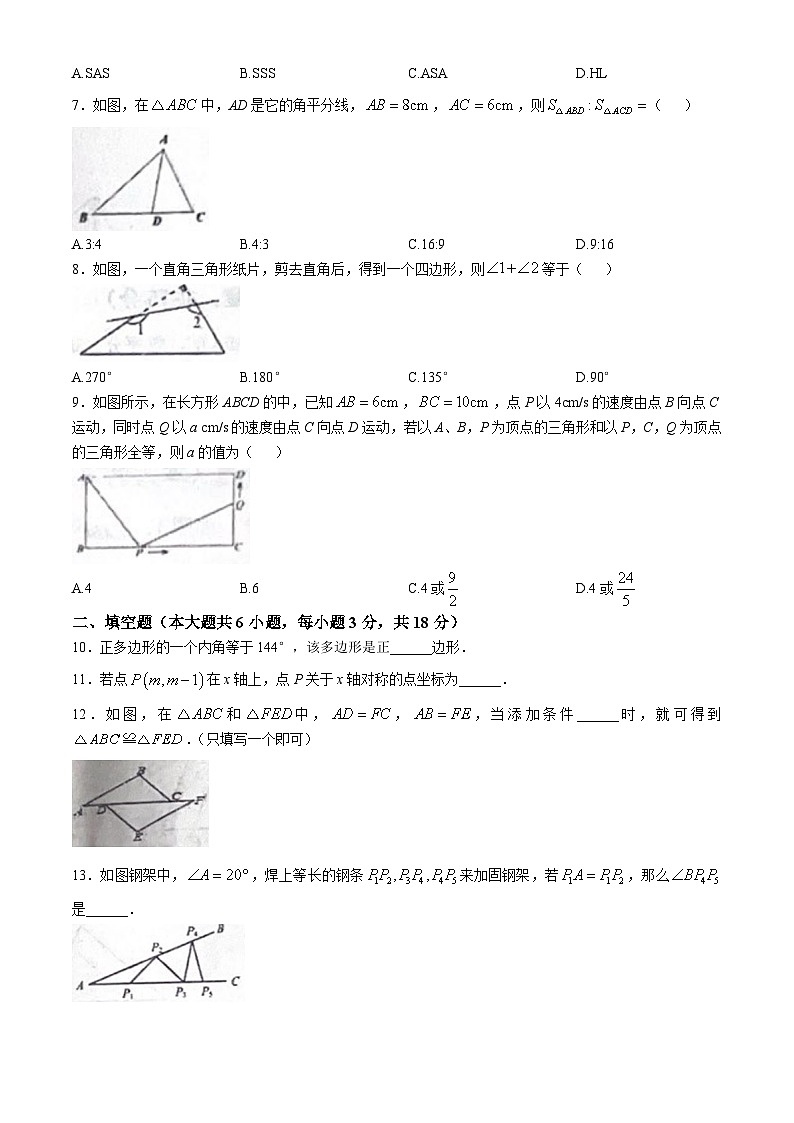 新疆维吾尔自治区伊犁哈萨克自治州新源县2024-2025学年八年级上学期10月期中数学试题(无答案)第2页