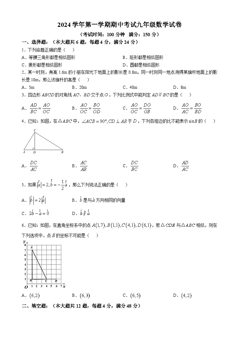 上海市闵行区航华中学2024—-2025学年九年级上学期数学期中考试试卷(无答案)第1页