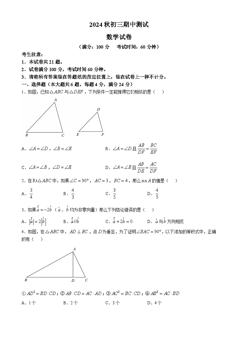 上海市实验学校南校区2024-2025学年上学期九年级期中测试数学试卷(无答案)第1页