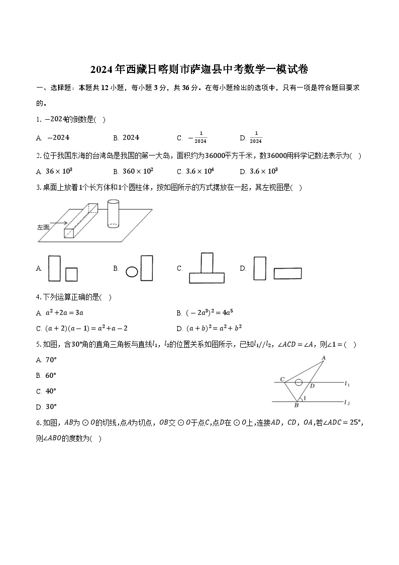 西藏日喀则市萨迦县2024届九年级下学期中考一模数学试卷(含答案)