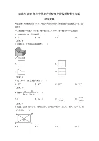 甘肃省武威市2024年中考真题数学试卷
