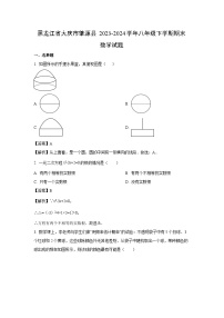 黑龙江省大庆市肇源县2023-2024学年八年级下学期期末数学试卷(解析版)