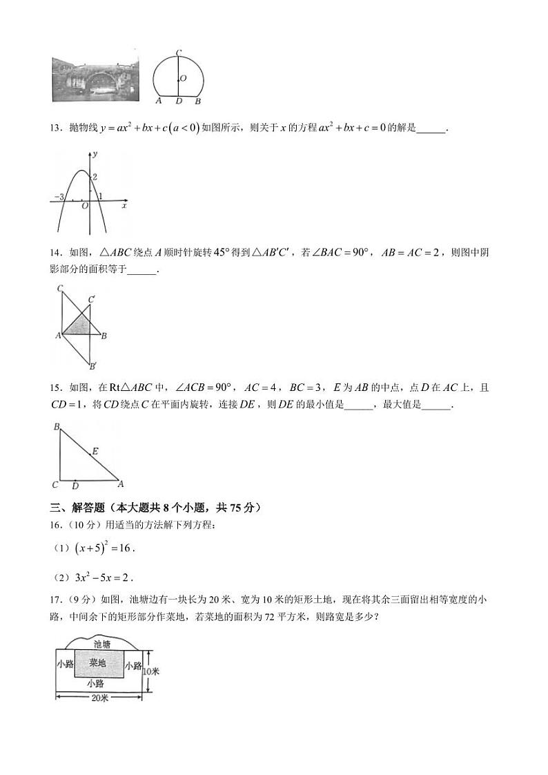 河南信阳2024年九年级上学期数学期中测试卷+答案 人教版第3页