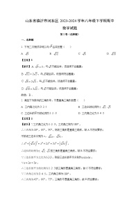 山东省临沂市河东区2023-2024学年八年级下学期期中数学试卷(解析版)