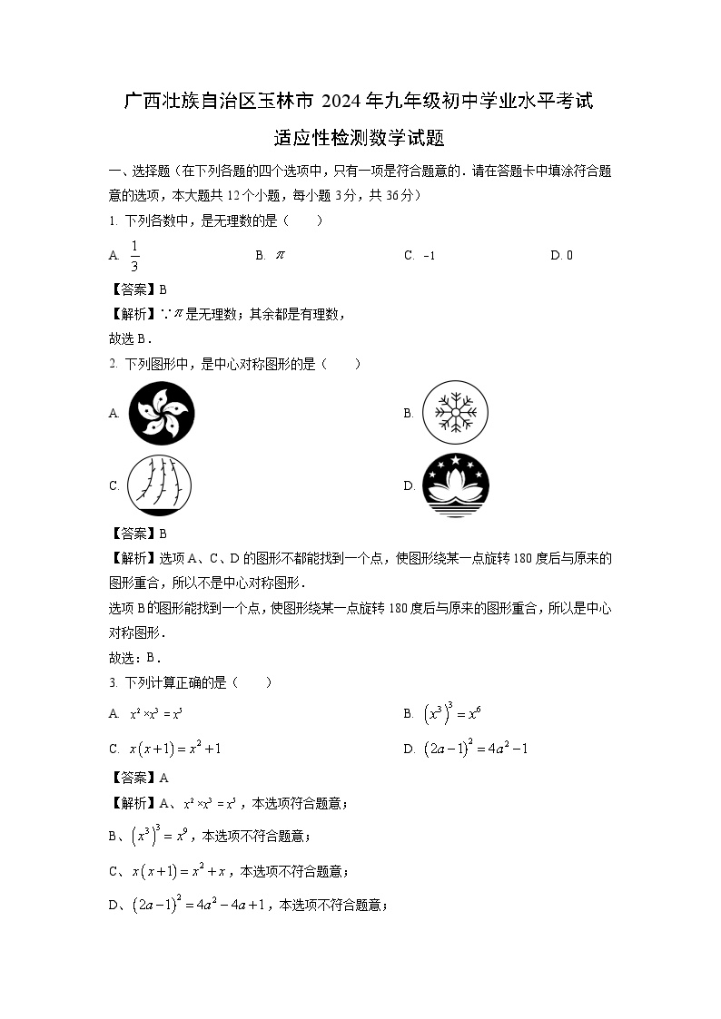 广西壮族自治区玉林市2024年九年级初中学业水平考试适应性检测数学试卷(解析版)