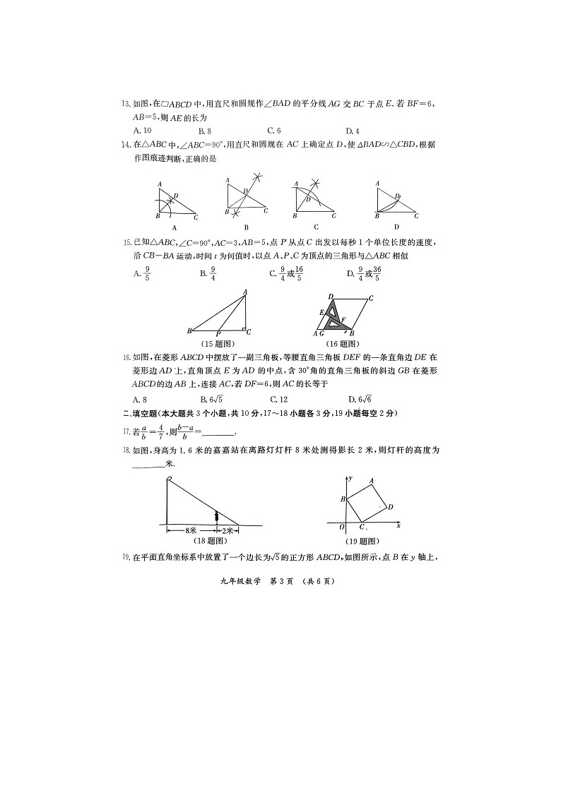 河北省保定市清苑区2024-2025学年九年级上学期11月期中考试数学试题第3页