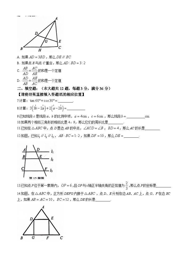 上海市杨浦区2024-2025学年九年级上学期期中考试数学试题第2页