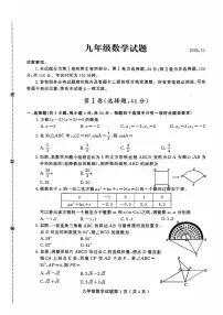 山东省潍坊市诸城市2024-2025学年九年级上学期11月期中考试数学试题+答案