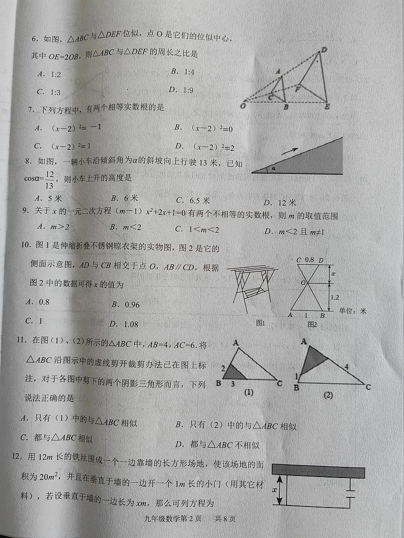 河北省唐山市乐亭县2024-2025学年九年级上学期期中考试数学试题02