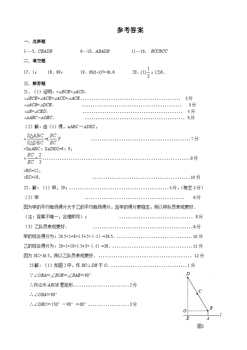 河北省唐山市乐亭县2024-2025学年九年级上学期期中考试数学试题01