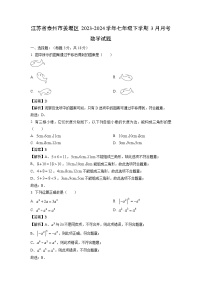 江苏省泰州市姜堰区2023-2024学年七年级下学期3月月考数学试卷(解析版)