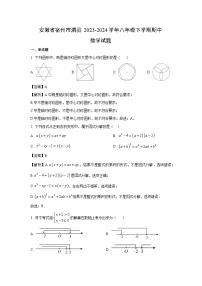 安徽省宿州市泗县2023-2024学年八年级下学期期中数学试卷(解析版)