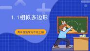 初中青岛版（2024）1.1 相似多边形优质课课件ppt