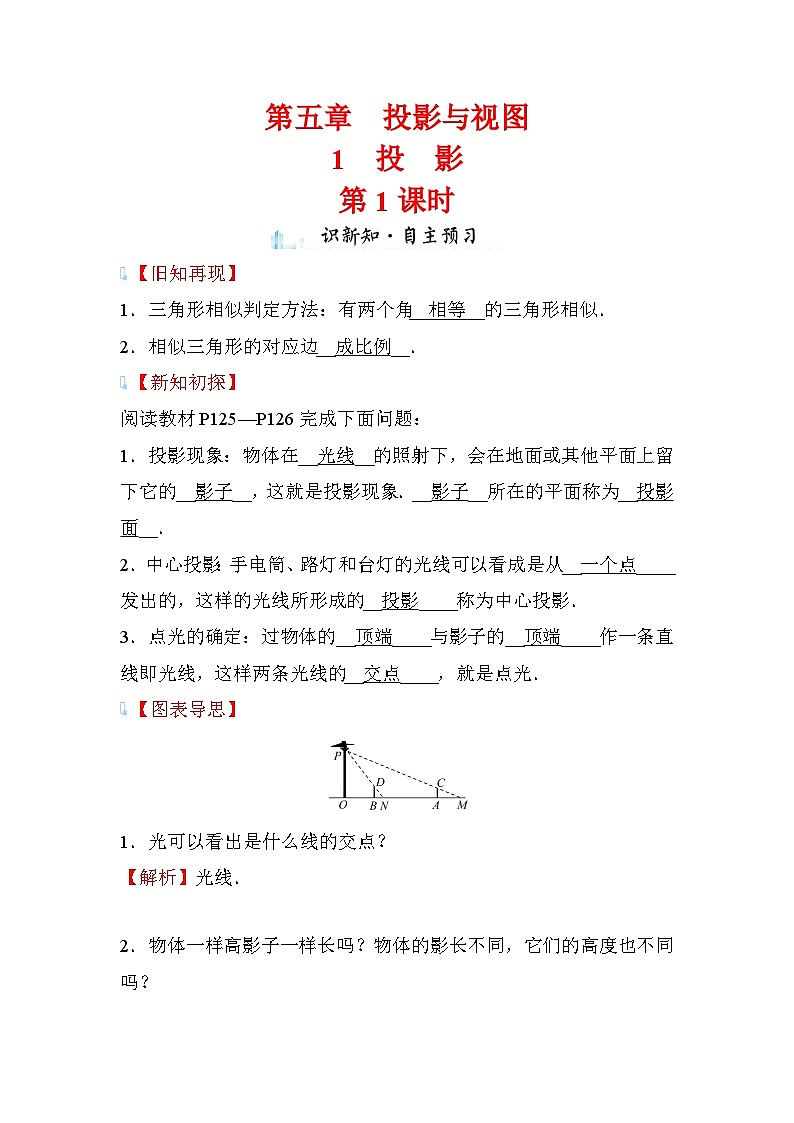 5.1 投影 第1课时 数学北师大版九年级上册学案01