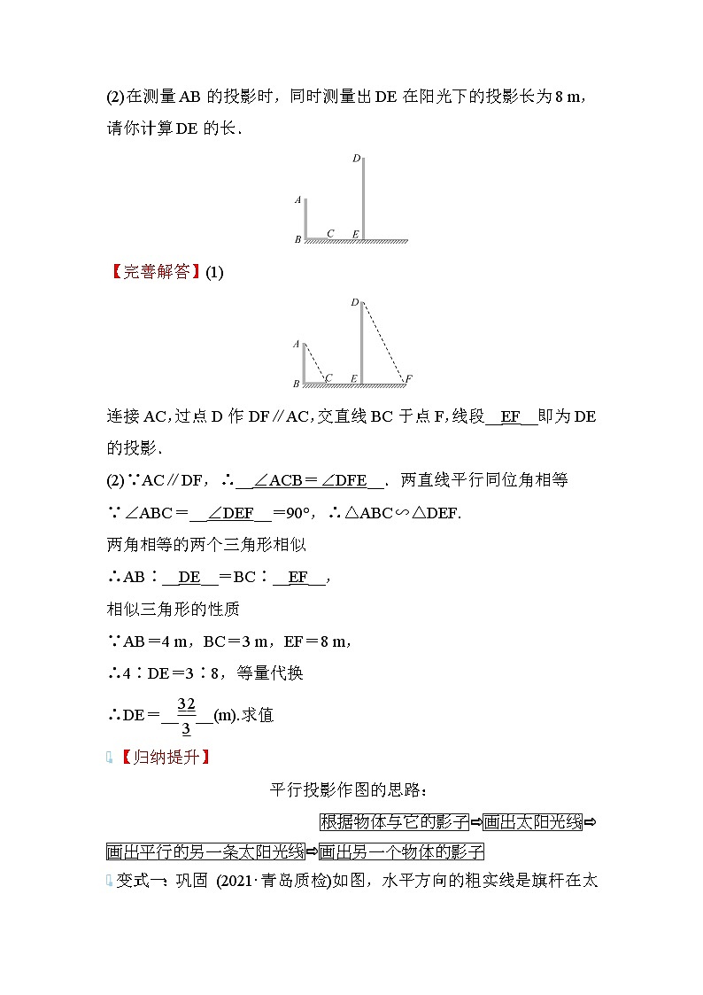 5.1 投影 第2课时 数学北师大版九年级上册学案第3页