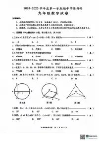 江苏省盐城市大丰区2024-2025学年九年级上学期11月期中考试数学试题