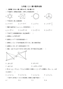 九年级上学期期中数学试题