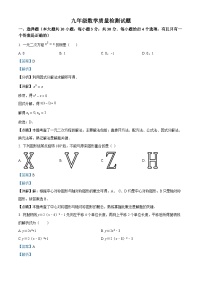 九年级上学期期中数学试题
