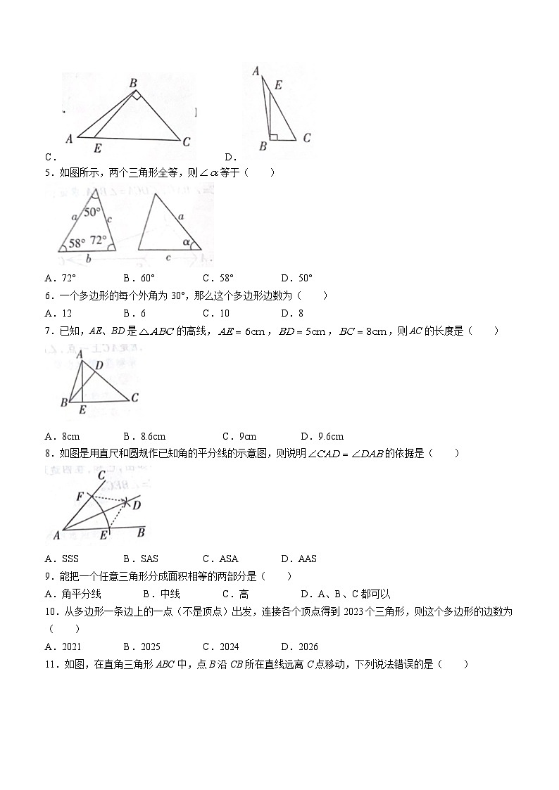 2023-2024学年河北省沧州市东光县五校联考八年级(上)月考数学试卷(10月份).第2页