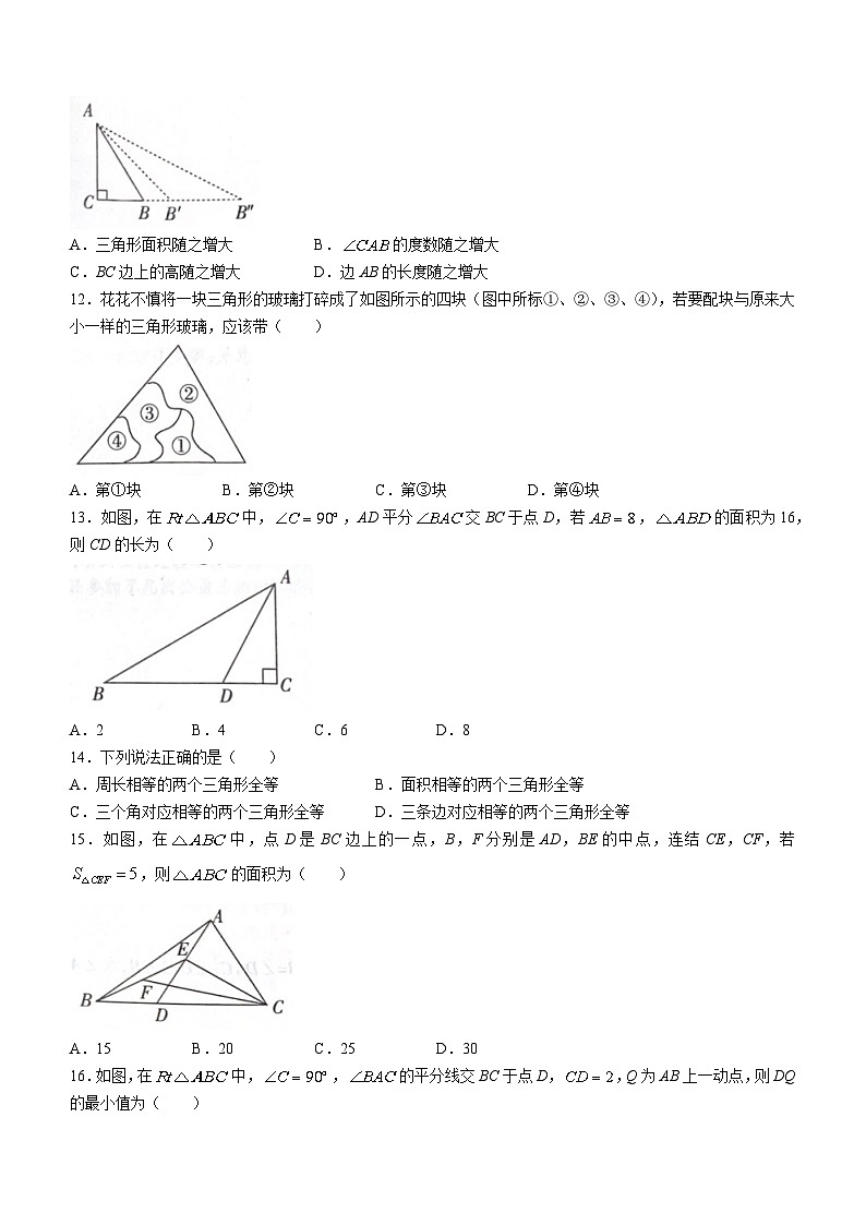 2023-2024学年河北省沧州市东光县五校联考八年级(上)月考数学试卷(10月份).第3页