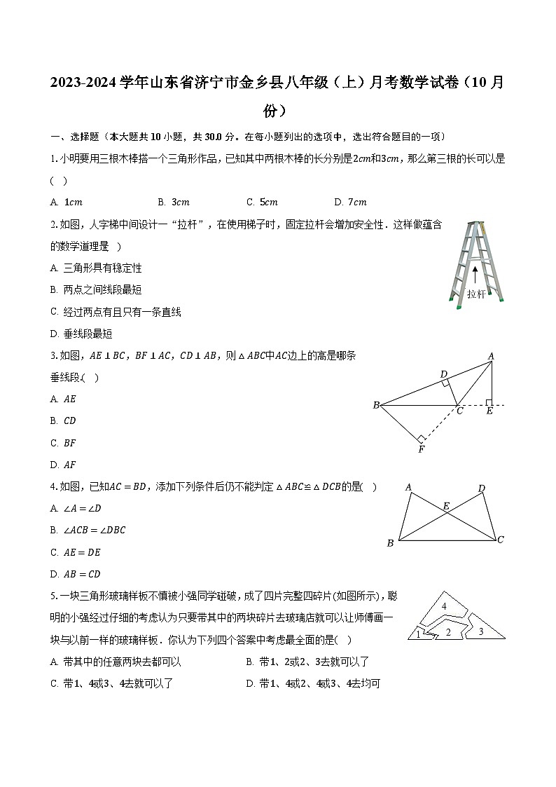 2023-2024学年山东省济宁市金乡县八年级(上)月考数学试卷(10月份)(含解析)第1页