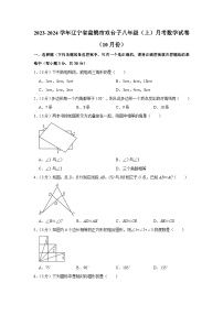 2023-2024学年辽宁省盘锦市双台子八年级（上）月考数学试卷（10月份）