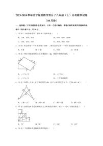 2023-2024学年辽宁省盘锦市双台子八年级（上）月考数学试卷（10月份）