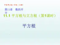 11.1 平方根与立方根（第1课时 平方根）【课件】