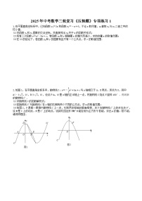 2025年中考数学二轮复习《压轴题》专项练习1（含答案）
