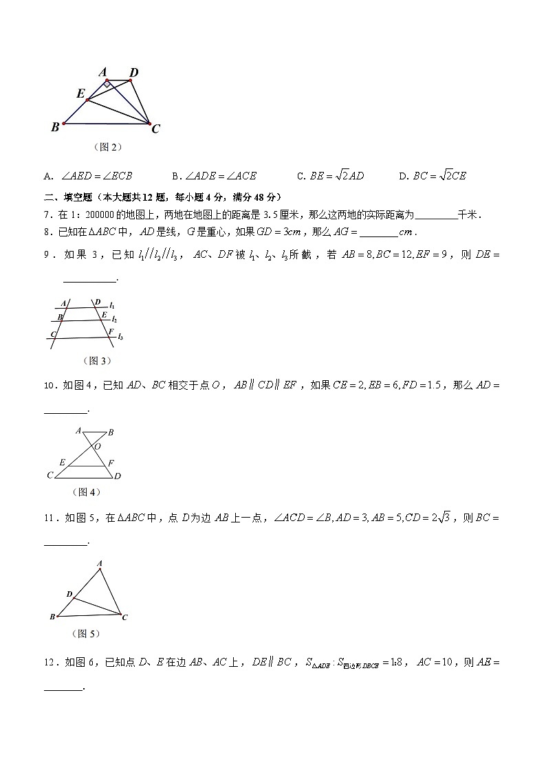 上海市2023-2024学年九年级上学期期中数学试题第2页