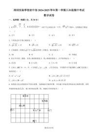 深圳实验学校初中部2024-2025学年上学期八年级期中考试数学试卷（含答案）