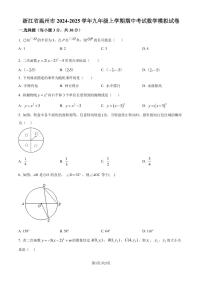 温州2024年九年级上学期期中数学模拟试卷（含答案）