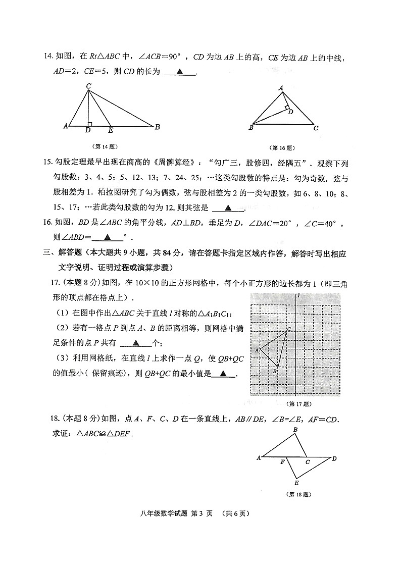 江苏省徐州市邳州市2024-2025学年上学期八年级数学期中试卷03
