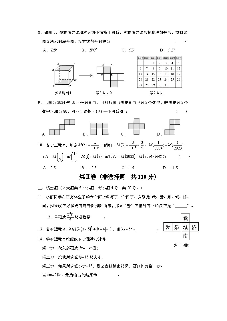 山东省济南市历下区2024-2025学年七年级上学期11月期中测试数学试卷02