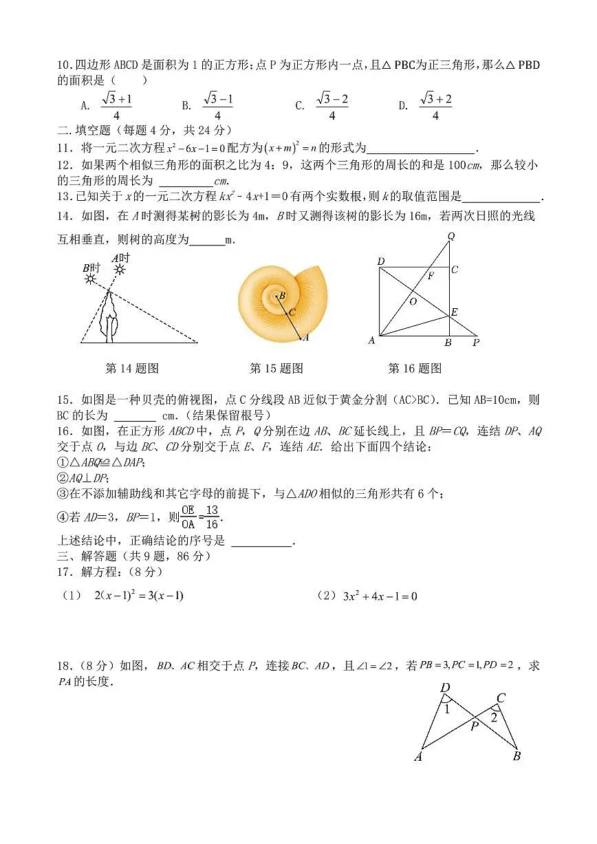 福建省宁德市古田县2024-2025学年九年级上学期期中考试数学试题第2页